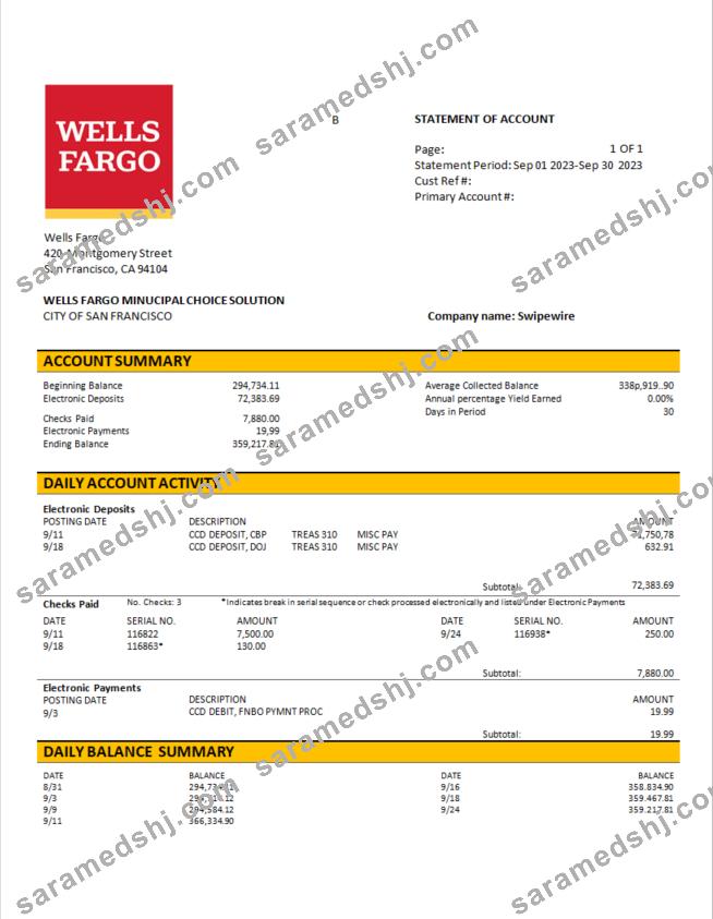 Wells Fargo business account statement Word and PDF template